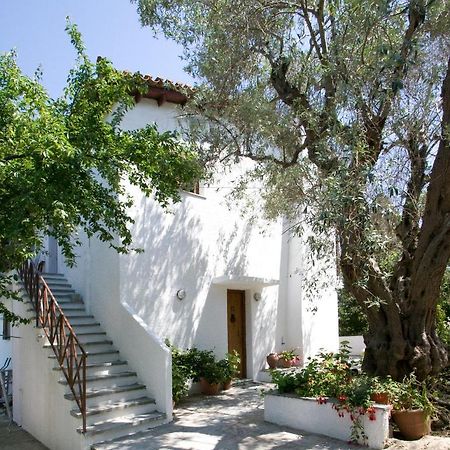 Villas Alexandra Skiathos Platanias  Extérieur photo