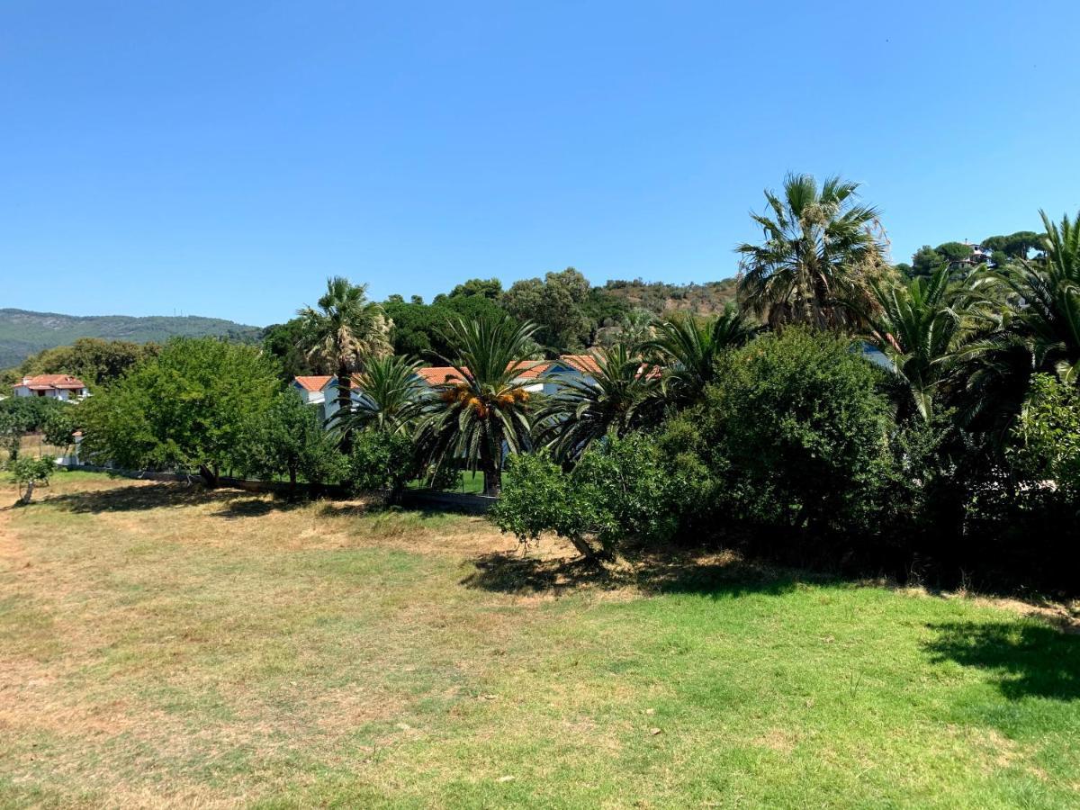 Villas Alexandra Skiathos Platanias  Extérieur photo