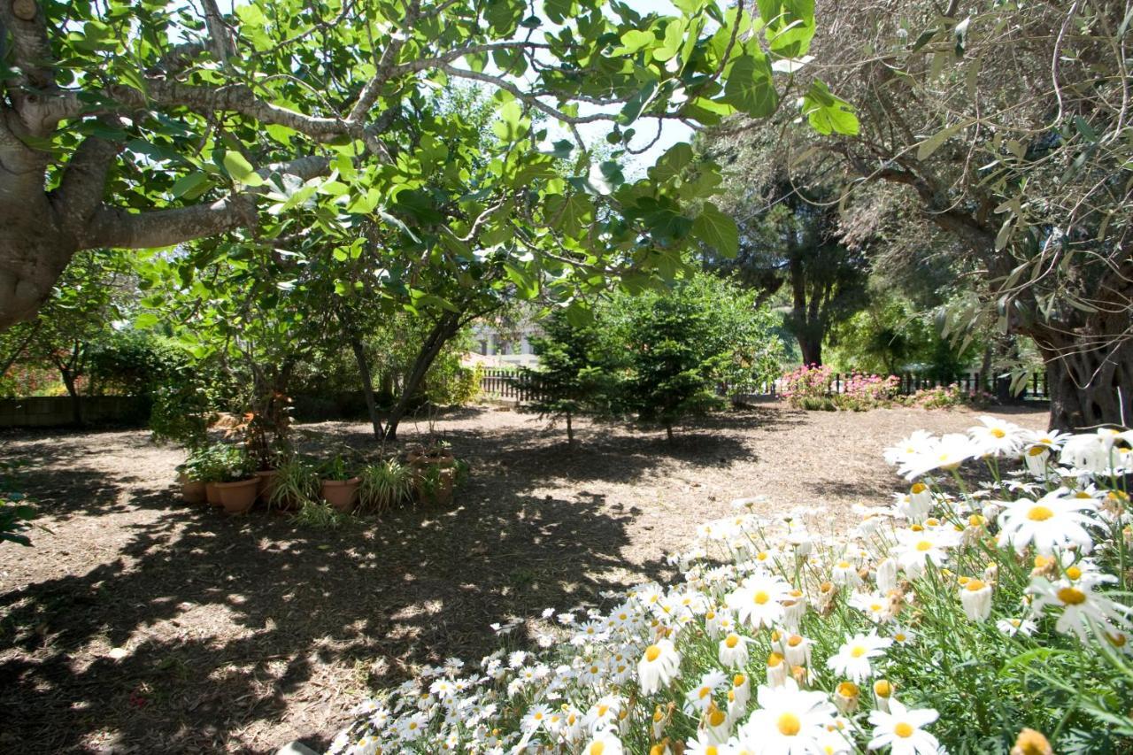 Villas Alexandra Skiathos Platanias  Extérieur photo