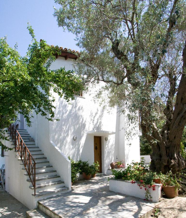 Villas Alexandra Skiathos Platanias  Extérieur photo