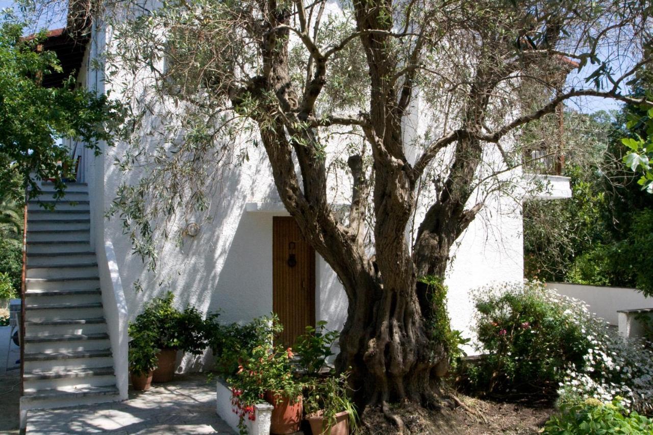 Villas Alexandra Skiathos Platanias  Extérieur photo